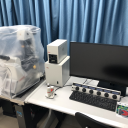 超高分辨率共聚焦显微镜（leica STED）