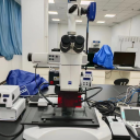 宏观变倍体式荧光显微镜