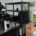 激光扫描共聚焦显微镜(光漂白比例成像系统)