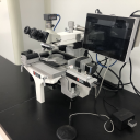 酵母显微操作系统