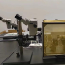 昆虫触角电位测量系统